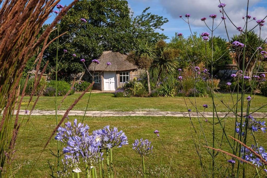The Beach House-Devon- On The Beach- Sleeps 20 Villa Exmouth Exterior foto